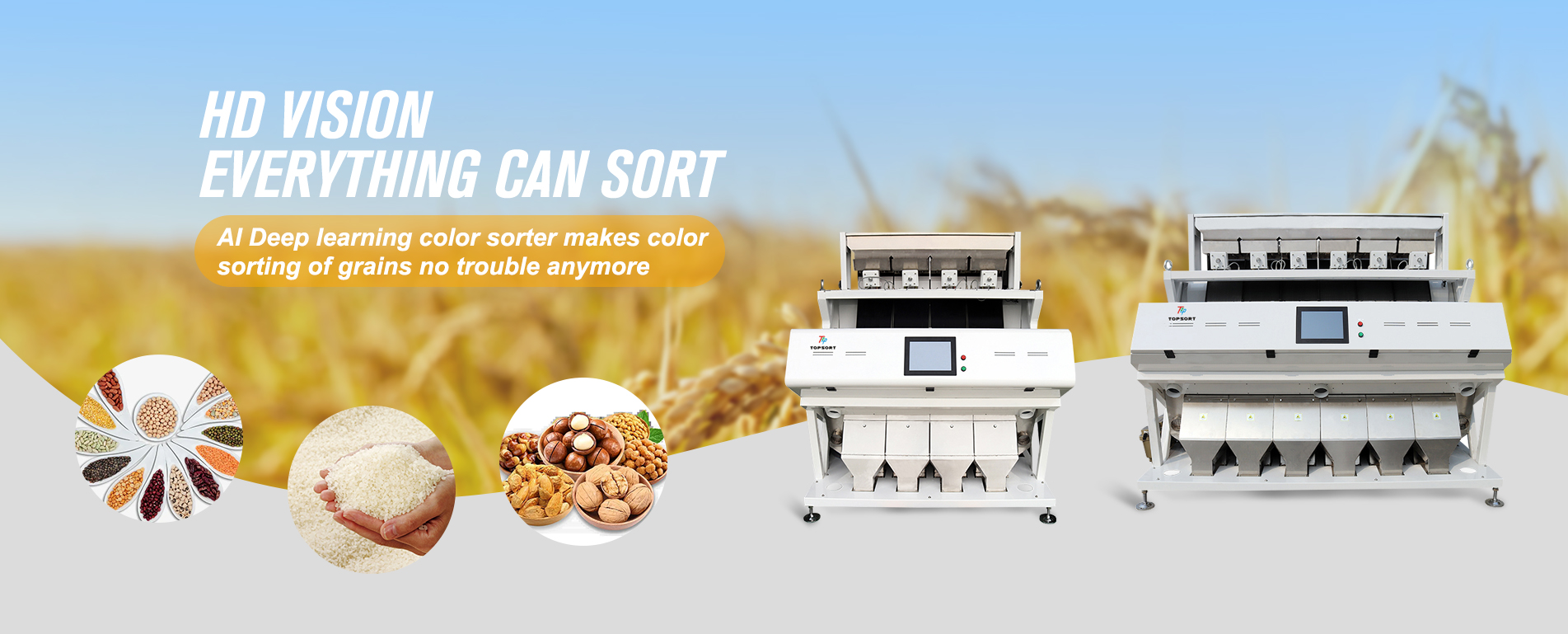 Color Sorter