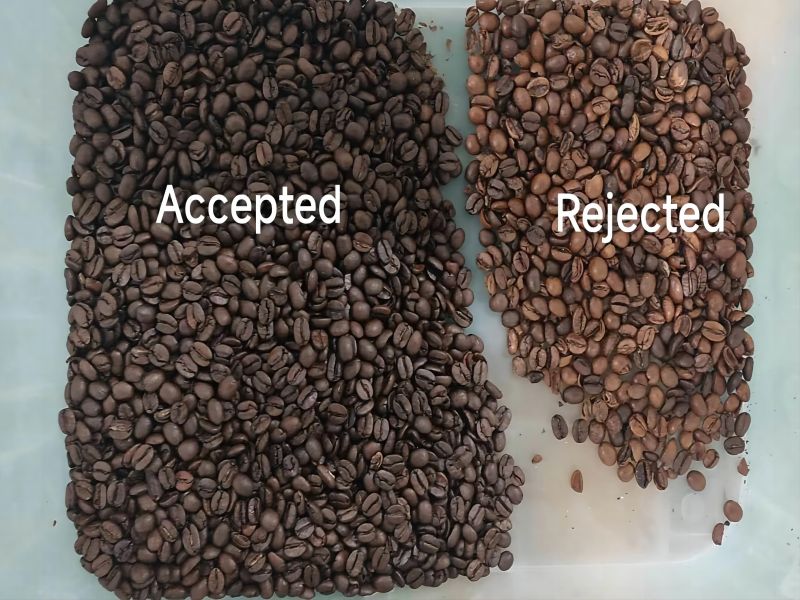 Customer case of sorting coffee bean in Brazil