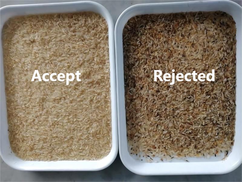 Customer case of rice color sorter in Tanzania