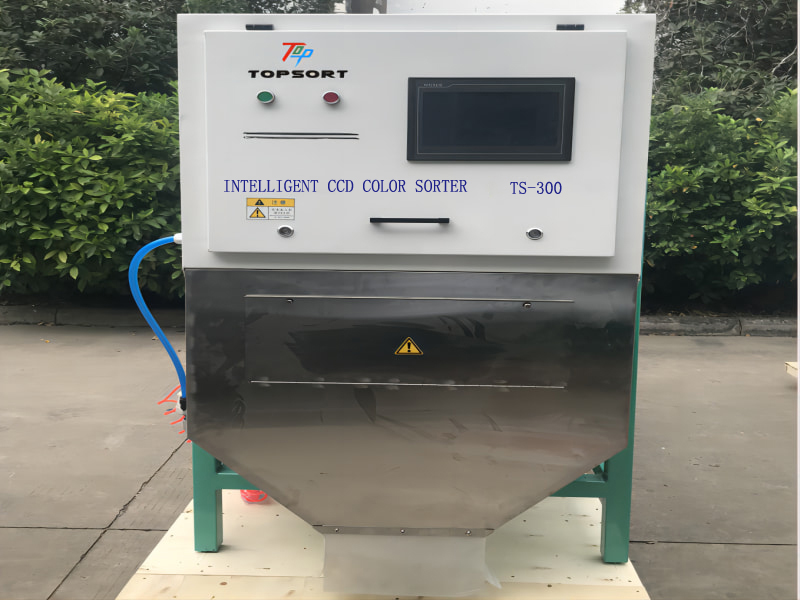 belt type color sorter