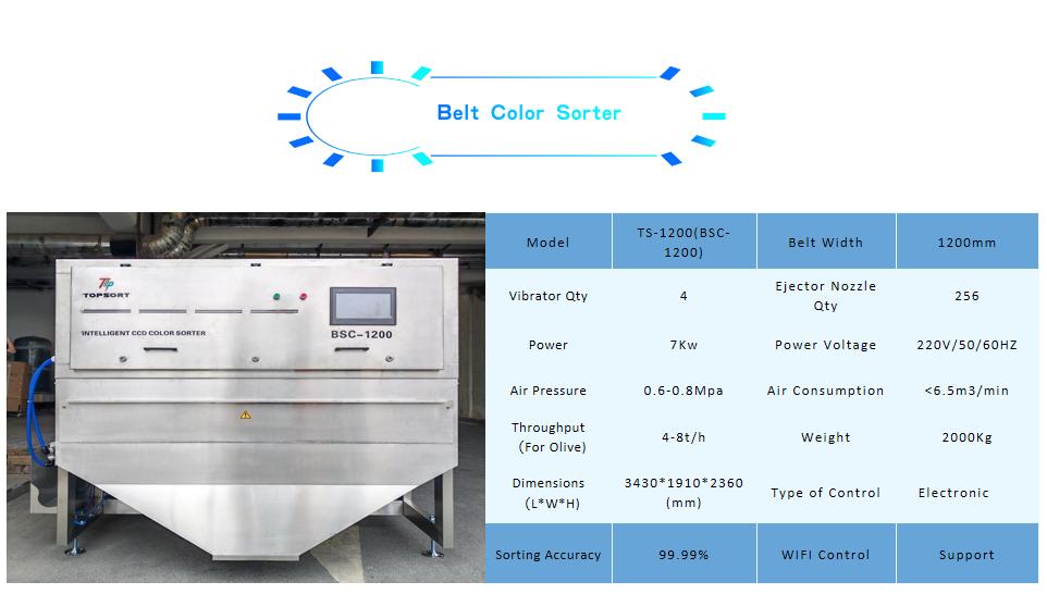 olive color sorter
