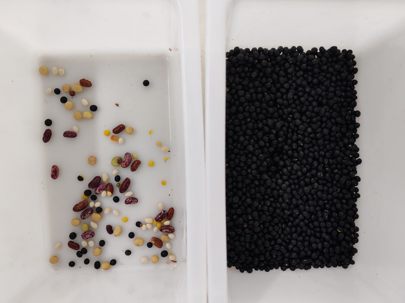 Mini color sorter sorting for black bean with 99.99% sorting accuracy