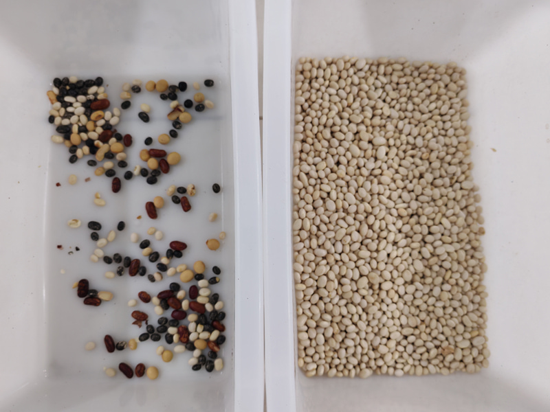 TOPSORT mini color sorter sorting for white bean with excellent performance