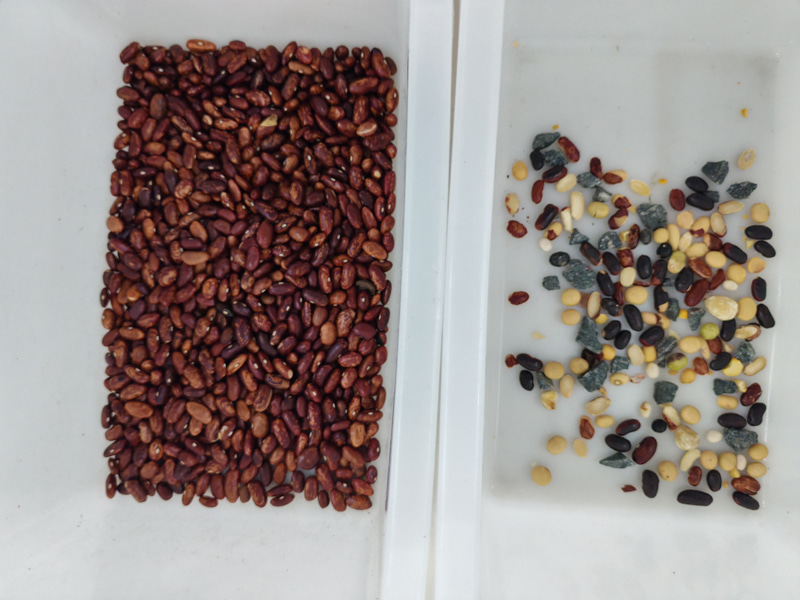 TOPSORT Mini Kidney Bean color sorter with good sorting performance