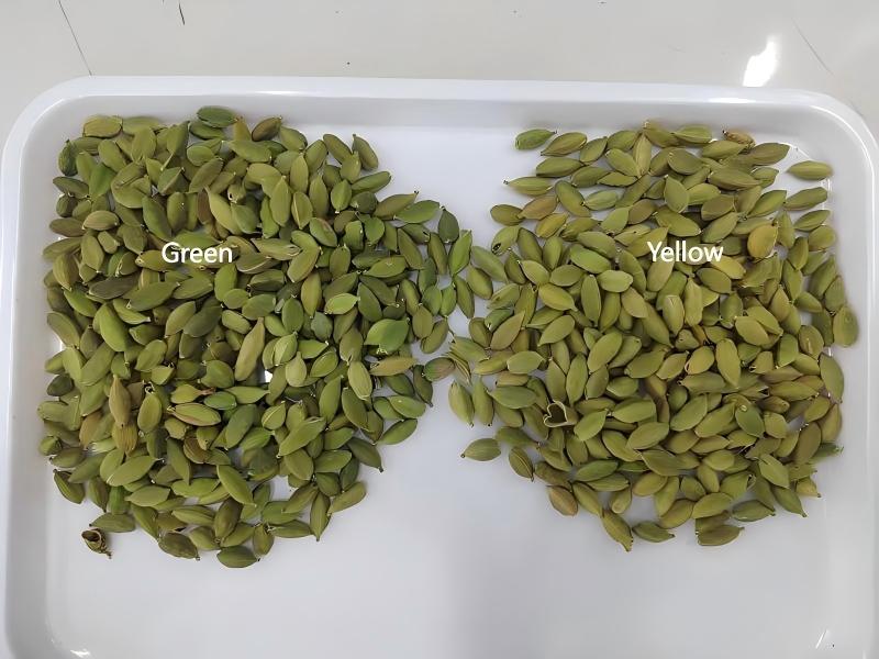 Topsort cardamom color sorter with super performance