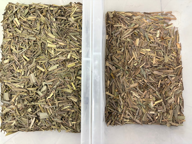 TOPSORT lemongrass color sorting machine with remote control