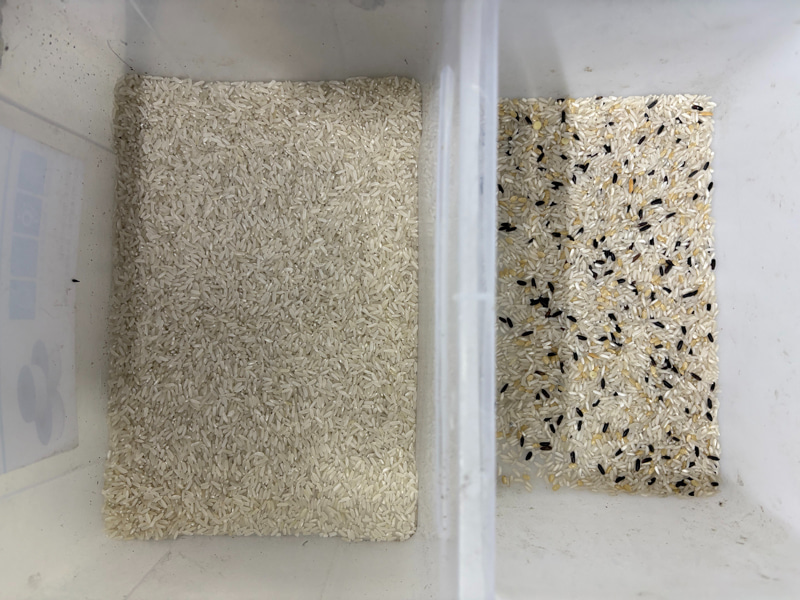 TOPSORT Intelligent Mini Rice Color Sorter Machine