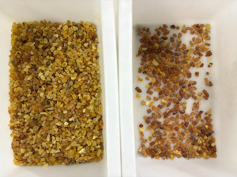 TOPSORT small amber color sorter