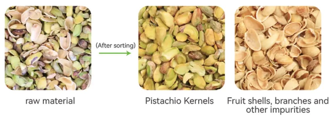 pistachio color sorting machine