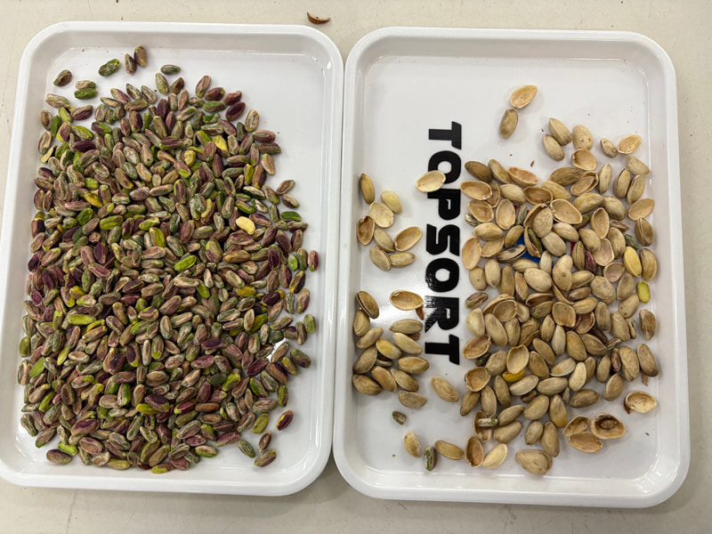 TOPSORT high accuracy pistachio AI color sorter with new deep learning technology