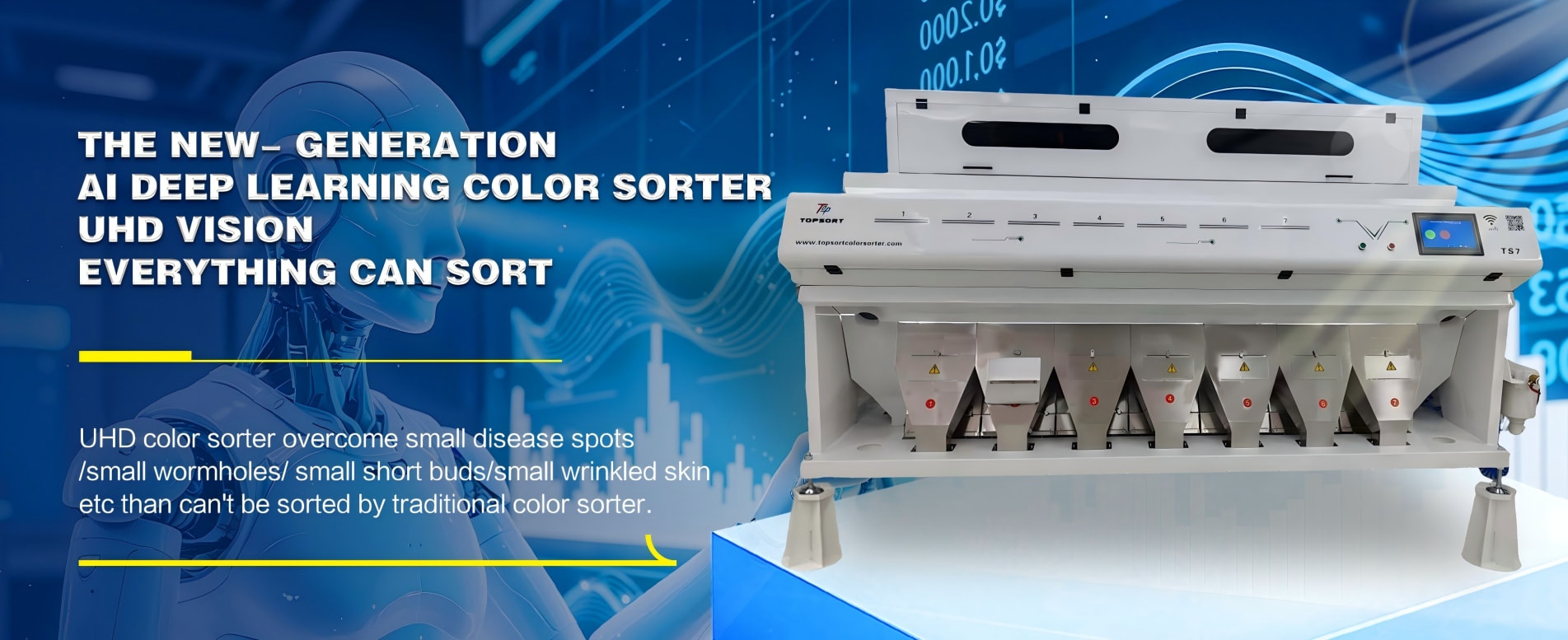Color Sorter Manufacturer